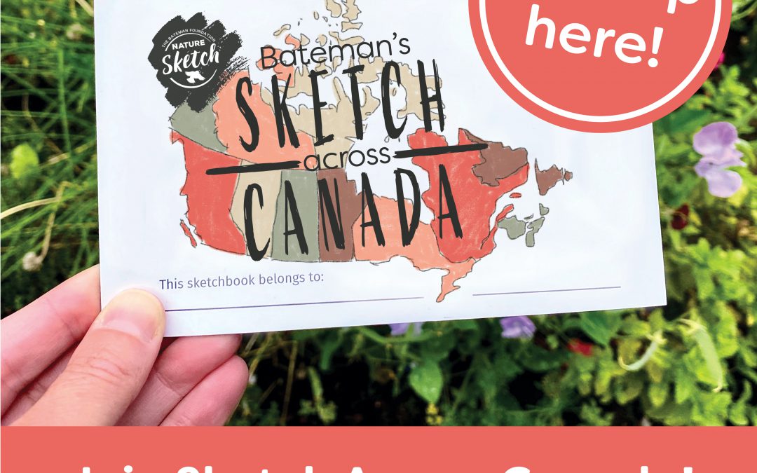 Bateman’s Sketch Across Canada