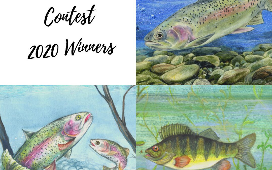 Call for Submissions: MNRF’s Kids’ Fish Art Contest
