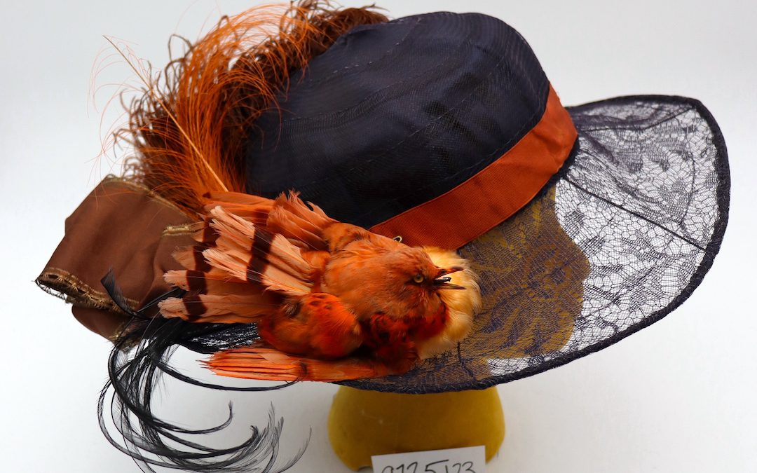 From the Collection: Bird Hat