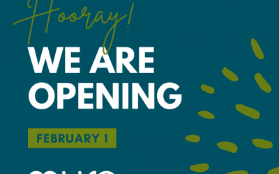 Hooray! The Muse is Reopening on February 1st