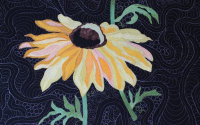 35th Annual Lake of the Woods Quilters Guild Quilt Show