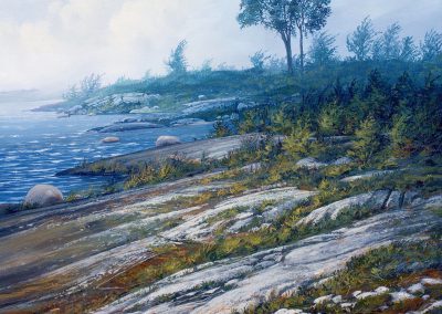 Randolph Parker, Shoal Lake Elm Tree, 2018, acrylic on canvas, 101.6 x 76.2 cm / 40 x 30 in, N 49º 30' 22.24" W 95º 02' 32.59"