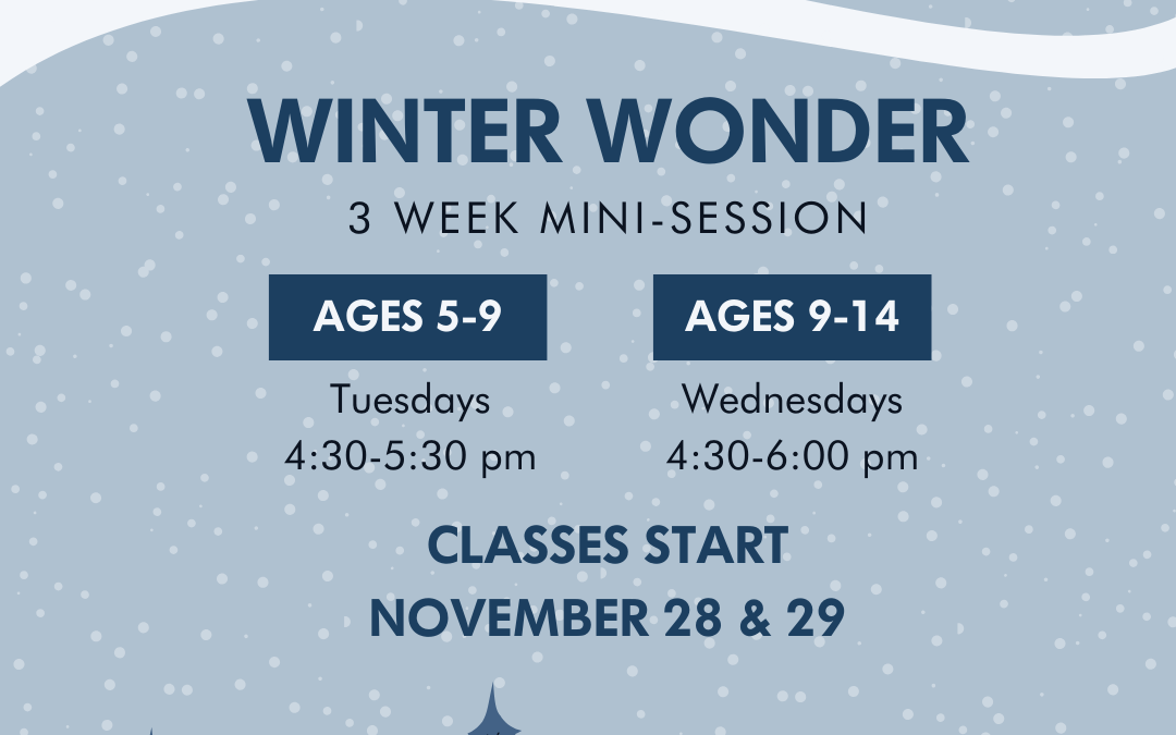 Winter Wonder (ages 9-14) – 3 weeks